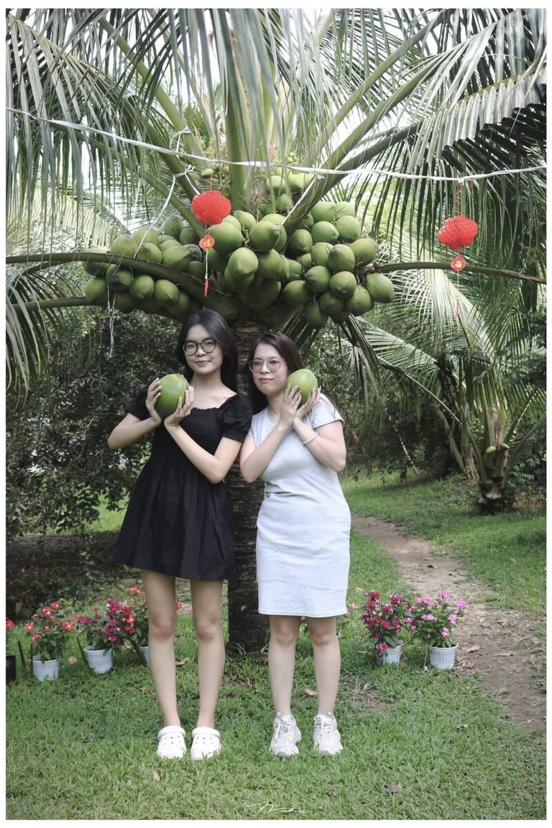 Hai cô gái check-in bên cây dừa trĩu quả trong vườn homestay