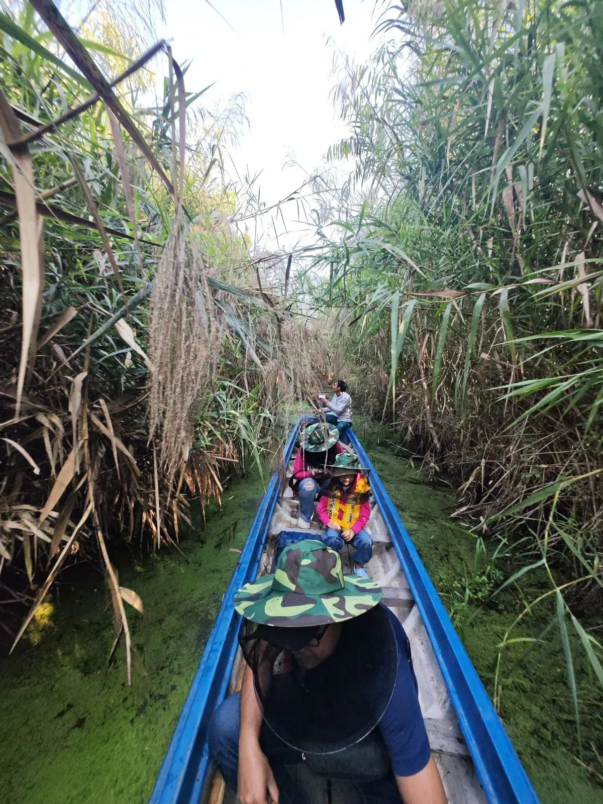 U Minh Ha National Park