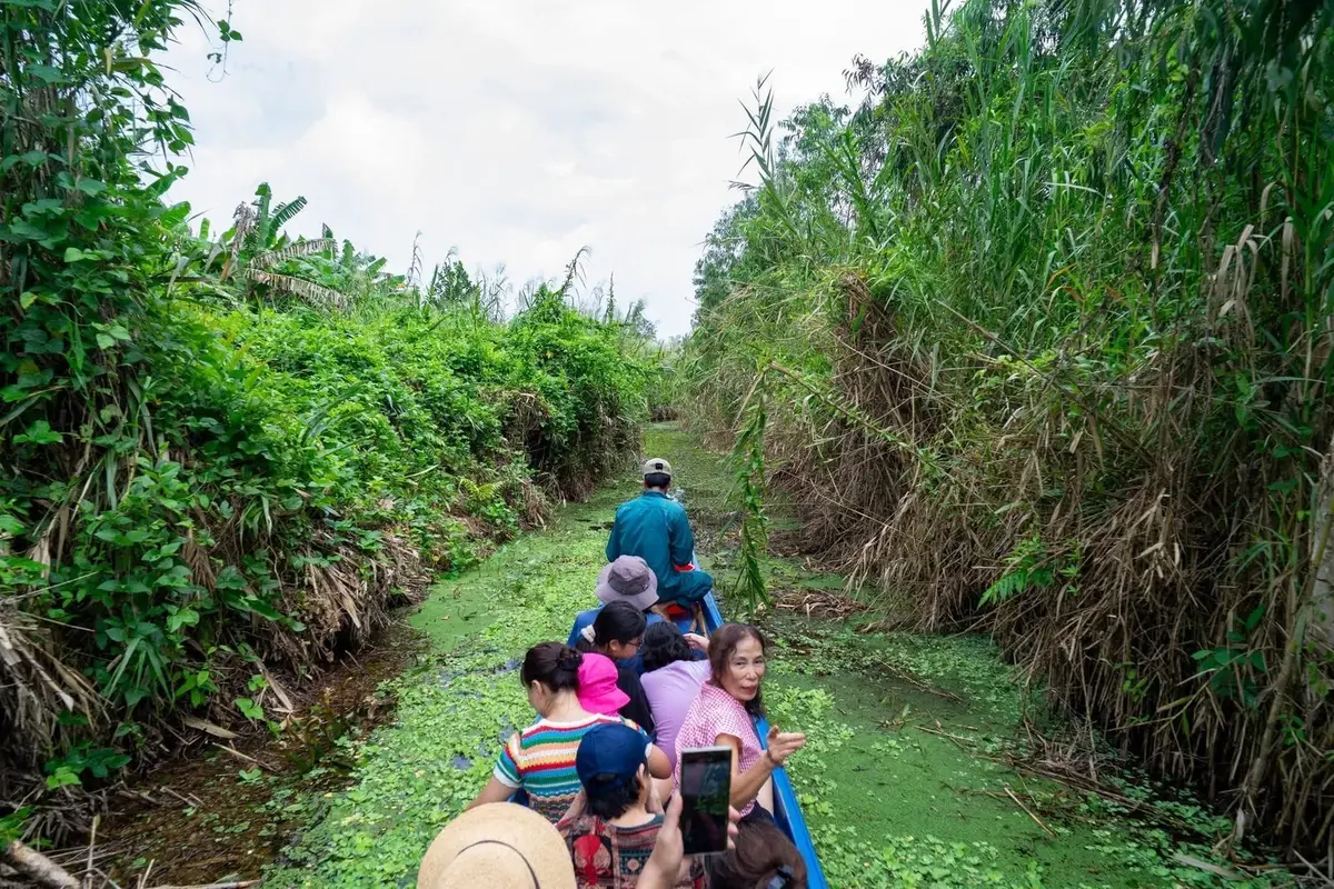 Đi xuồng máy xuyên kênh rạch ngập tràn sắc xanh rừng tràm U Minh. (Ảnh: Bà Ngoại Homestay / Tư liệu Du lịch Cà Mau)