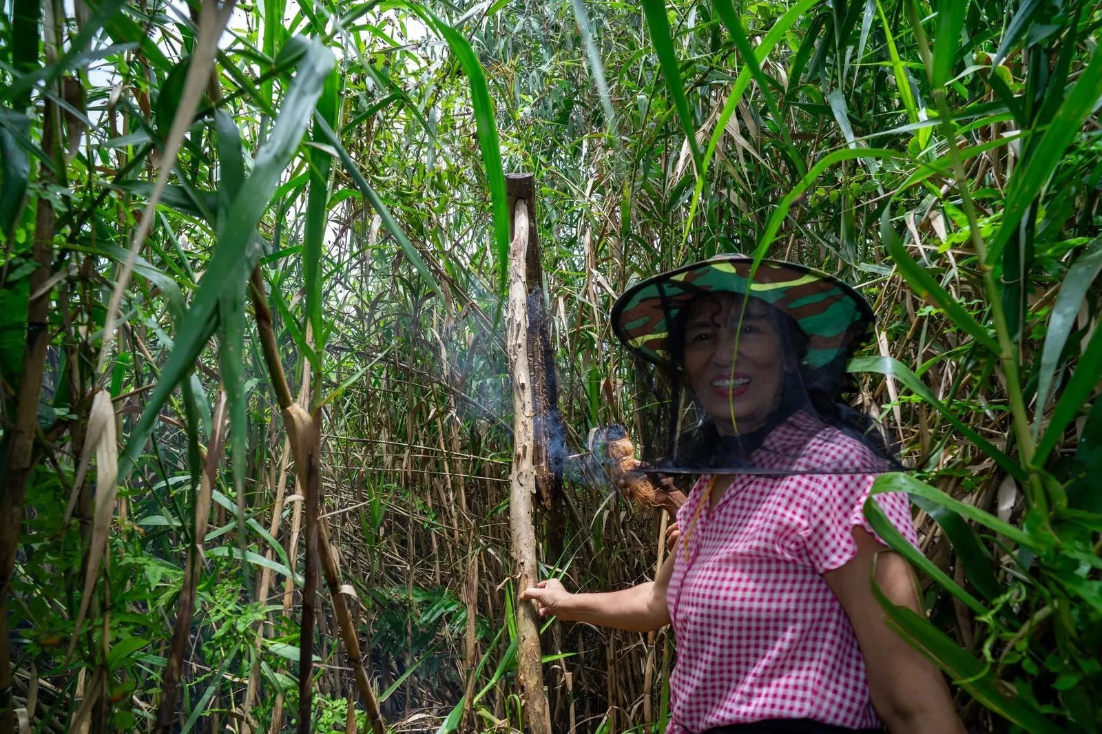 Đi xuồng máy xuyên kênh rạch ngập tràn sắc xanh rừng tràm U Minh. (Ảnh: Bà Ngoại Homestay / Tư liệu Du lịch Cà Mau)